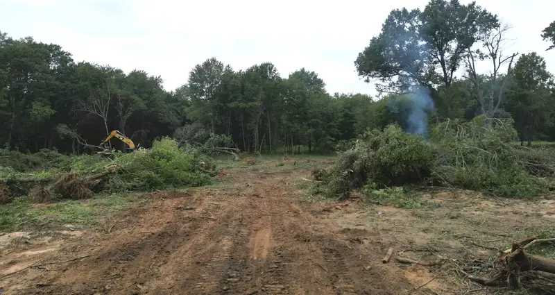 Wooded lot partially cleared of trees and brush, with windrows of cleared vegetation