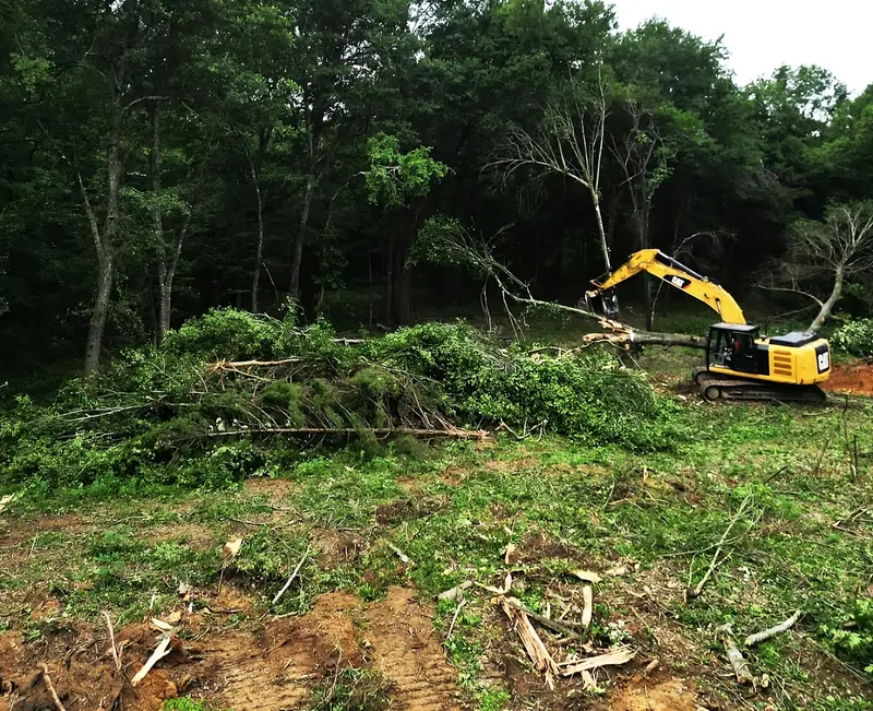 Excavator with a grapple thumb clearing trees and brush along a wooded line